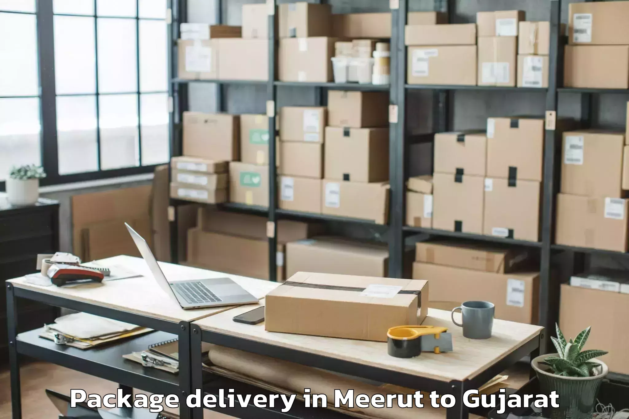 Trusted Meerut to Thasra Package Delivery